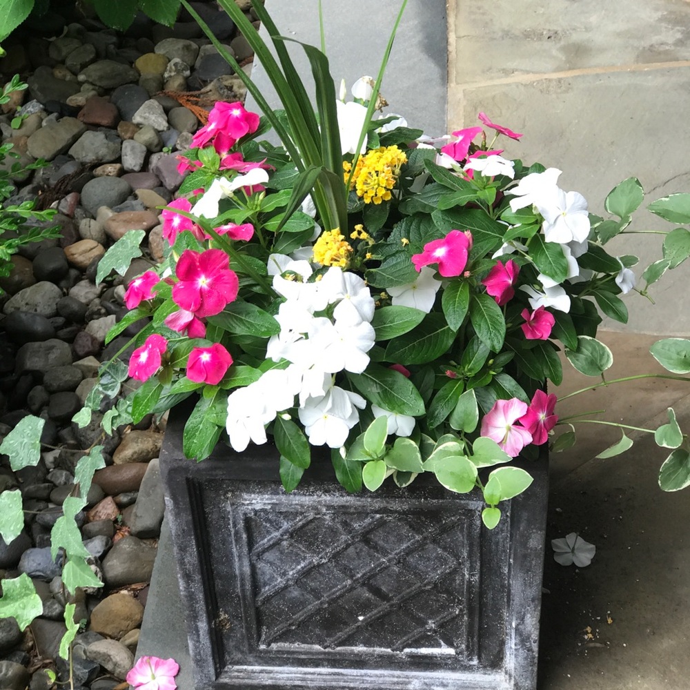 Meet your Posher, Susan